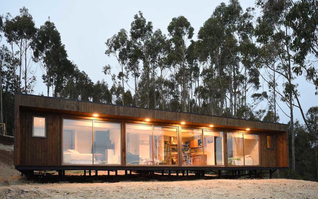 PUNTA DE LOBOS | DOMO 4